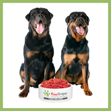 Load image into Gallery viewer, Raw Origins - 100% All Beef - One 5lbs Chub