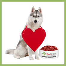 Load image into Gallery viewer, Raw Origins - BARFF - Prey Model Raw 80/10/10 Beef - One 5lbs Chub