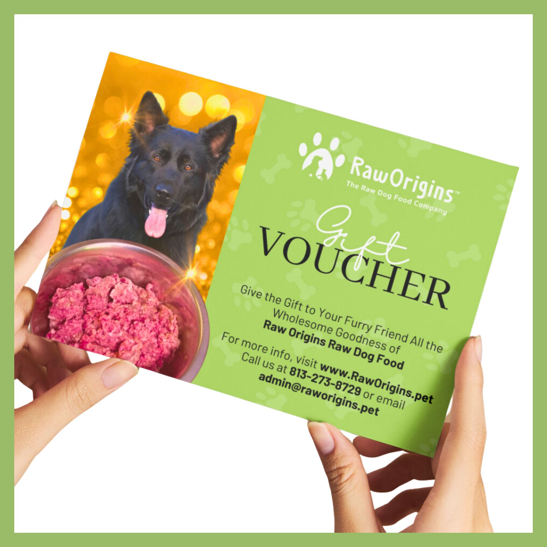 Wolverine’s Origins in <strong>Cast X: Origins Wolverine</strong>: The Raw Origins of a Savage Hero