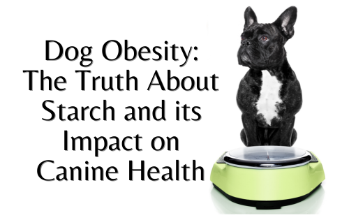 Dog Obesity: The Truth About Starch and its Impact on Canine Health