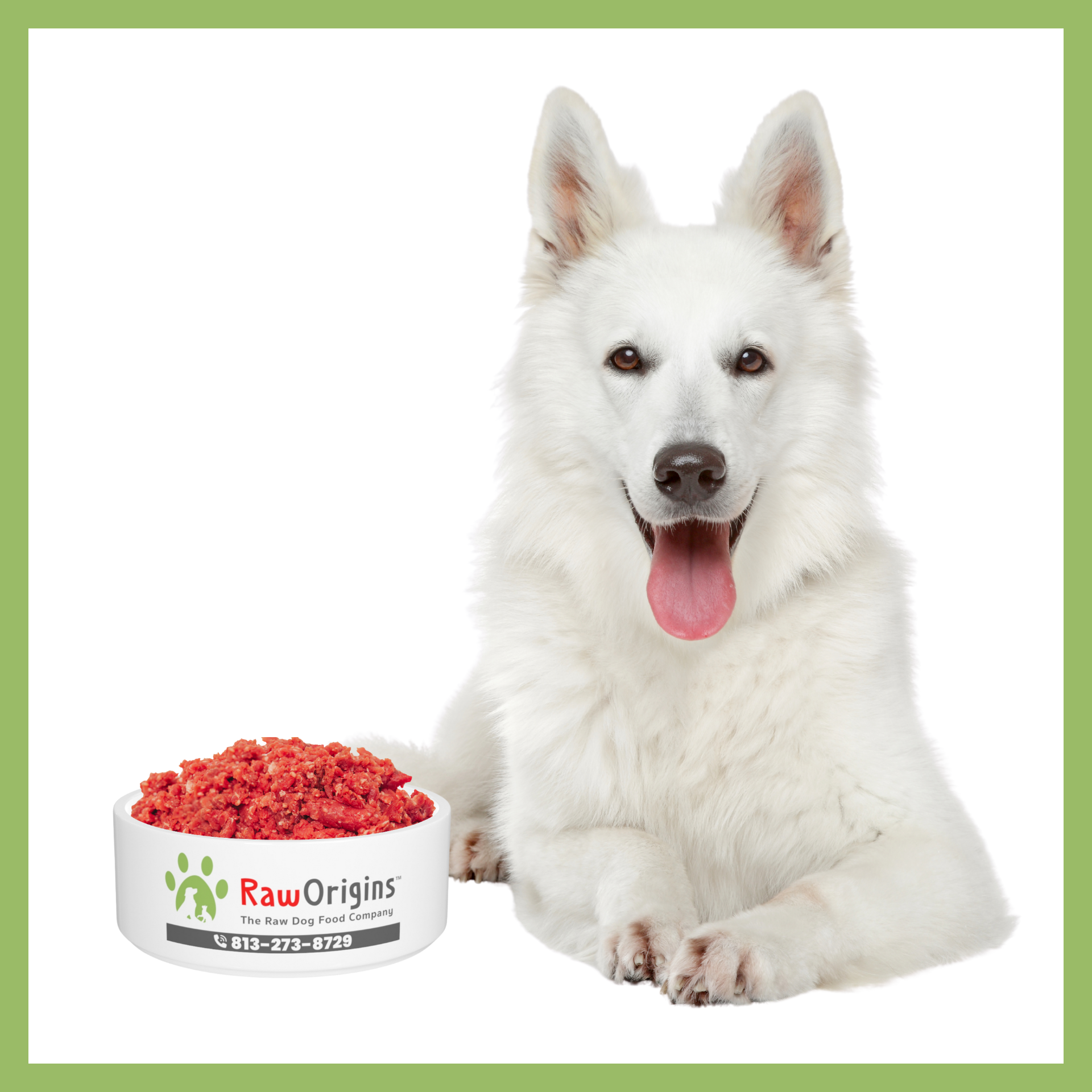 Raw Origins raw dog food- 100% Beef All Stages 30 pound Box