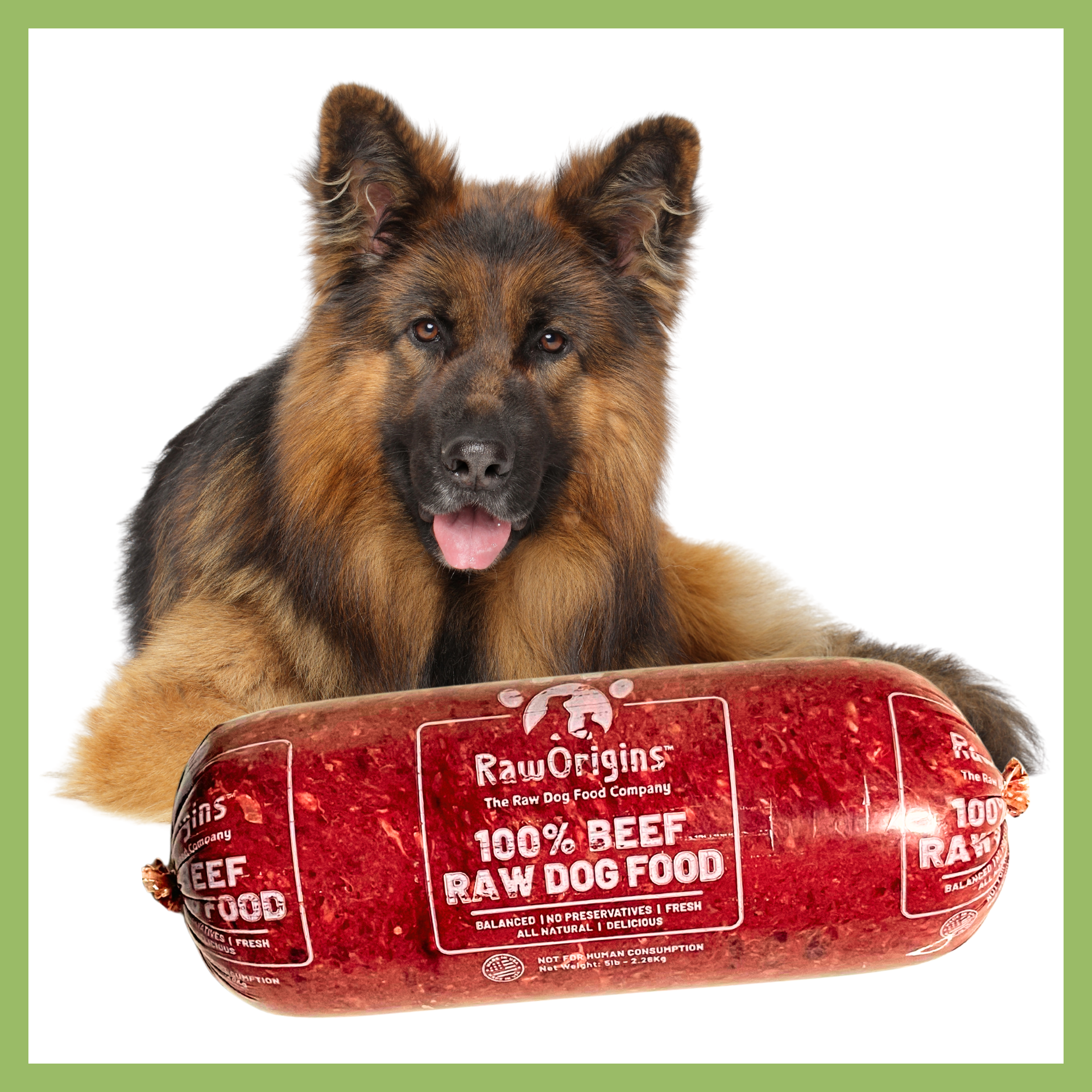 Raw Origins raw dog food- 100% Beef All Stages 30 pound Box