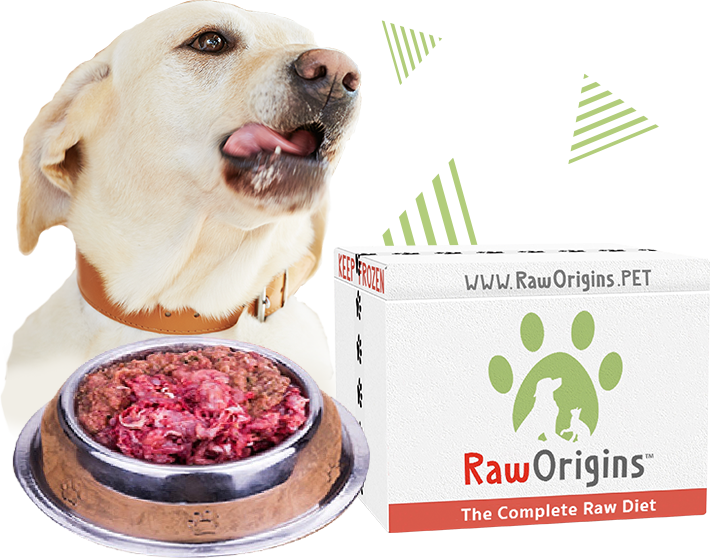 Raw_Origins_Raw_Dog_food